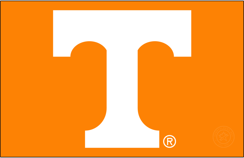 Tennessee Volunteers 2015-Pres Primary Dark Logo DIY iron on transfer (heat transfer)
